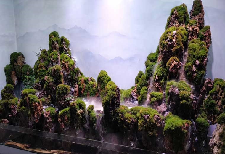 自然生态缸造景（尺寸可定制）