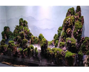 自然生态缸造景（尺寸可定制）